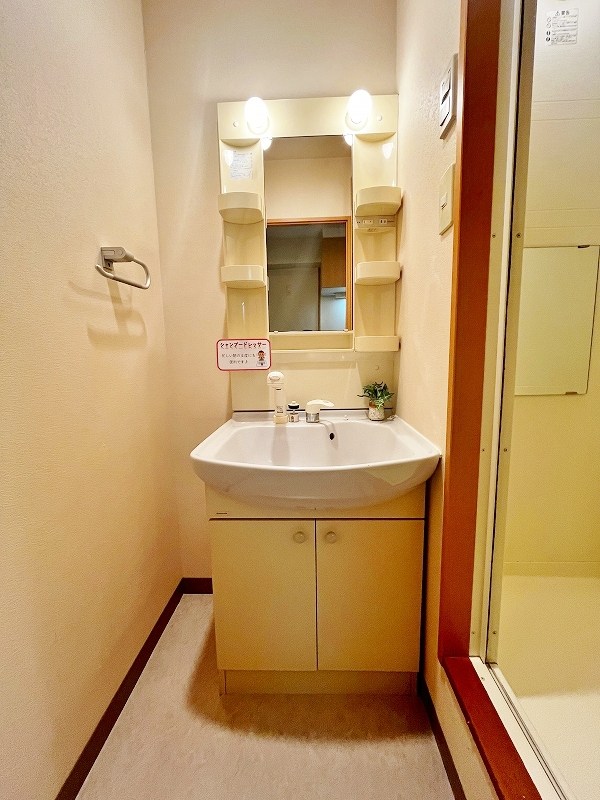 デザイナープリンセス７７  その他1