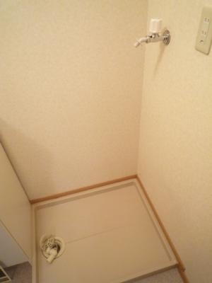 オードピュールⅡ その他3