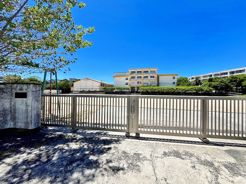 レイブリック若園 周辺画像6