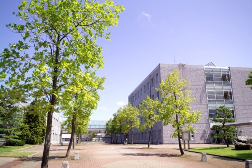 コーポラスセーフティ 大学・短大
