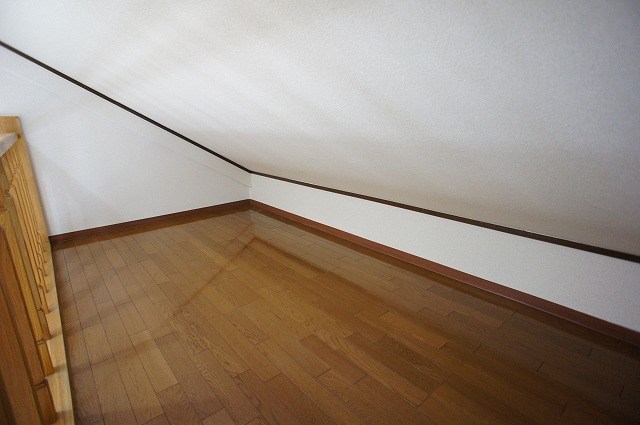 スプラウト その他