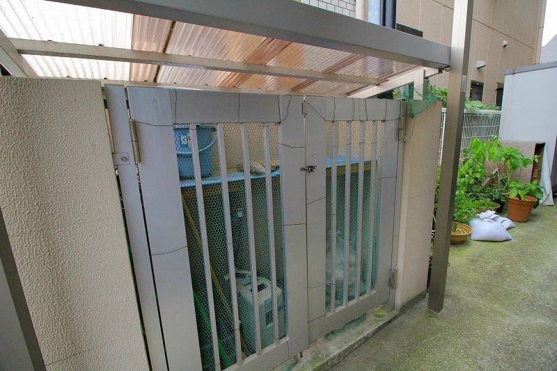 ルピナス・キクヨ その他9