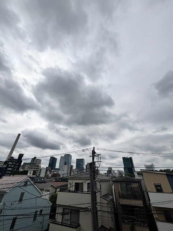 グラマシー恵比寿 眺望