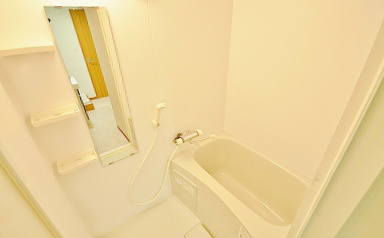 アヴィニールグランデ金田 風呂画像