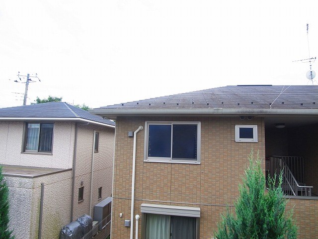 マサーレ・オガワB その他6