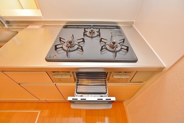 シャーメゾン藤﨑 その他5