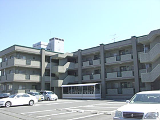 グライス武藤 その他