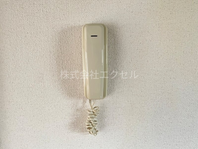 アミールカイト セキュリティ