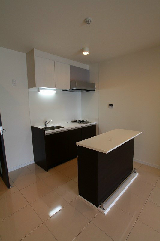 Da-Vinci キッチン