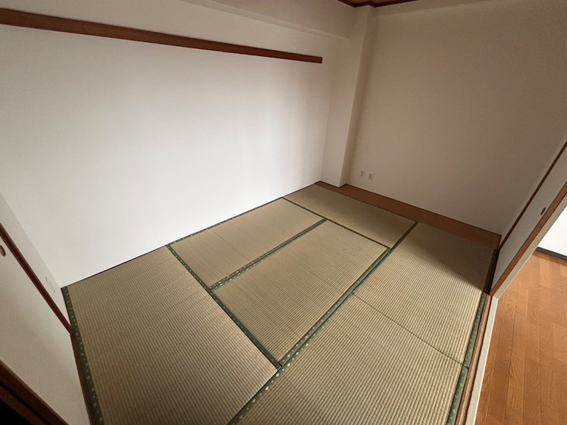 その他37
