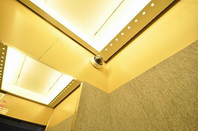 GRAVIS(グラヴィス) その他14