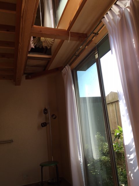 カエサル その他