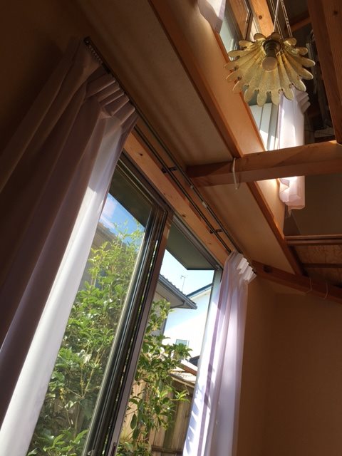 カエサル その他