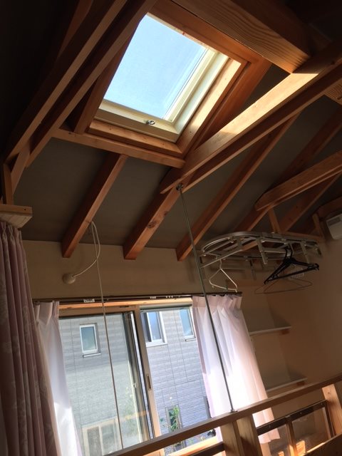 カエサル その他