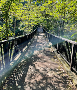 マイルドリーセイバリー 周辺画像8