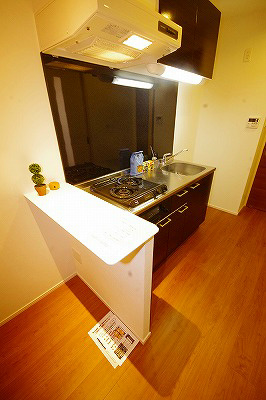 Ｐｌｕｍｅ木町（プルーム木町） キッチン