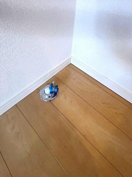 プラチナムⅠ その他24