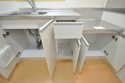 ルミナス  その他19