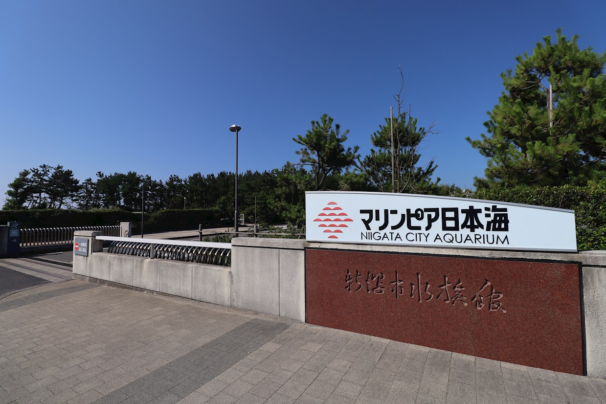 西大畑レジデンス 公共施設