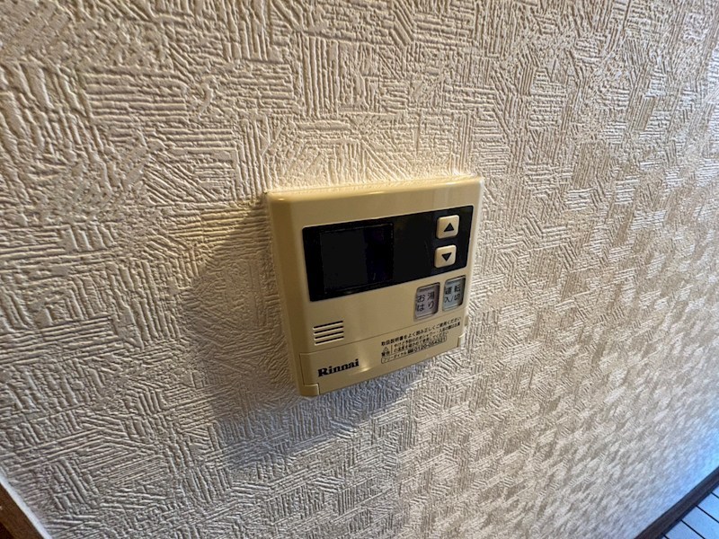 C`est la vie その他13