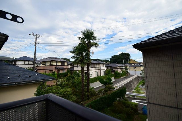 サンフラワーＢ その他6