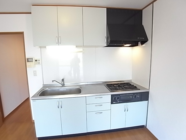 プレジール・オオクマⅡ キッチン