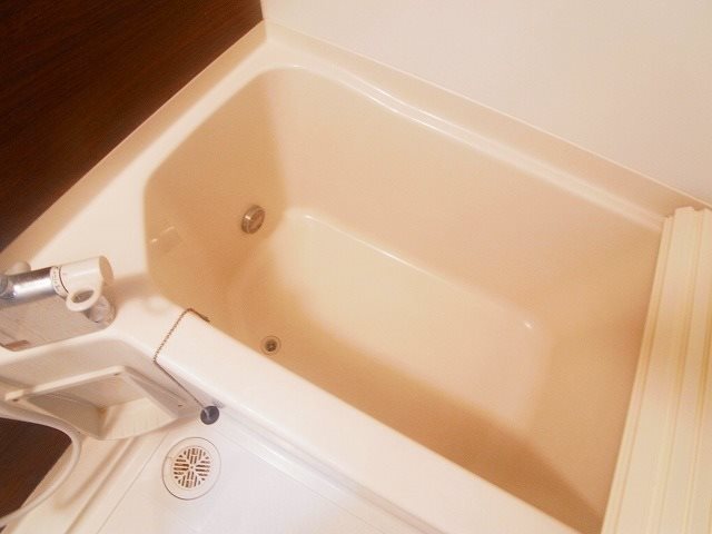 ツリーデン松戸Ⅱ その他9