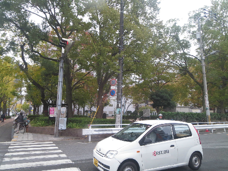 メゾンナカムラ北堀江 公園