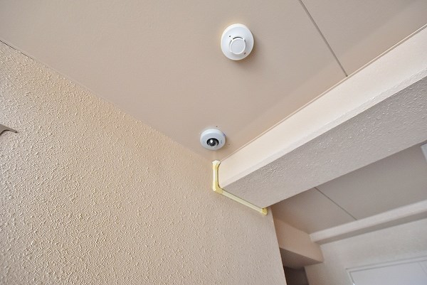 ｄａ　Ｖｉｎｃｉ　Ⅴ（ダヴィンチⅤ） その他外観5