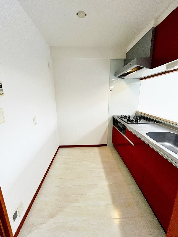 アヴィニールグランデ金田 その他25