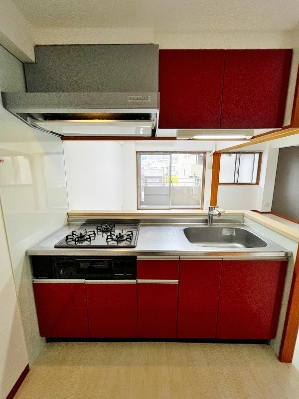 アヴィニールグランデ金田 その他28