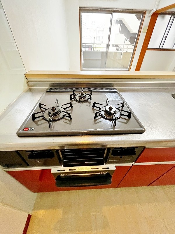 アヴィニールグランデ金田 その他29