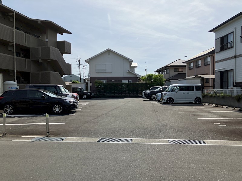 秋桜 駐車場