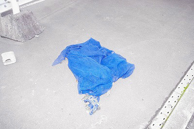 メリーパル小倉東 その他13