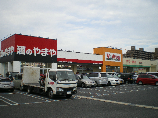 グリシーヌ ドラッグストア