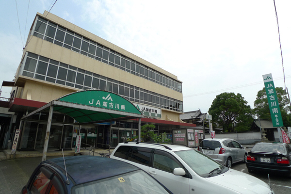 パセオ橋本Ⅱ番館 その他13
