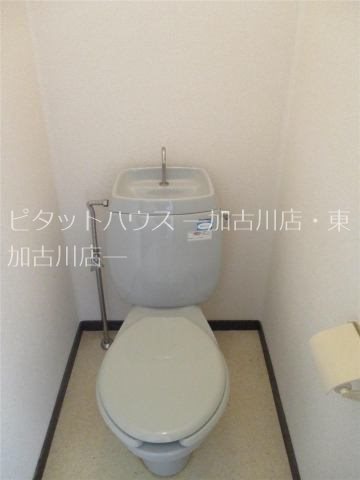 ホワイトハイツ その他2