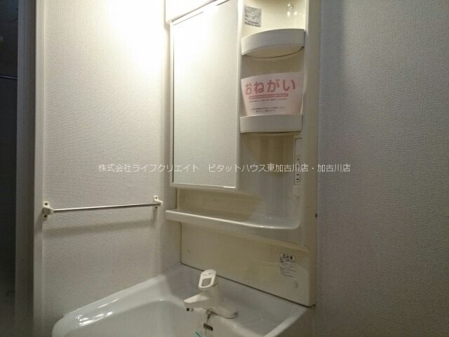 ルーチェ・デル・ソーレ その他1