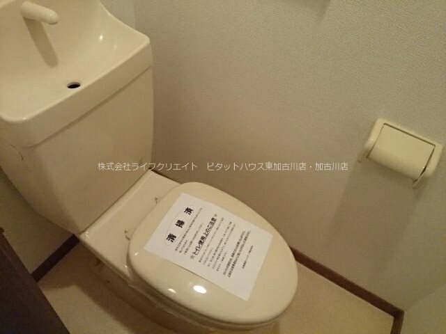 ルーチェ・デル・ソーレ その他2