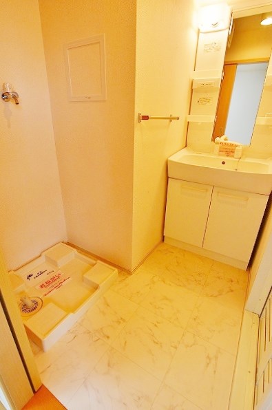 ラインハイム足立山Ｄ  その他1