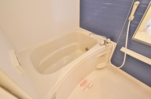 ラインハイム足立山Ｄ  その他39