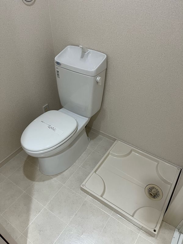 フォセット その他5