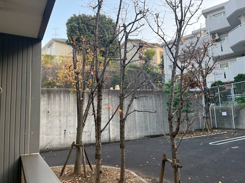 フォセット その他13