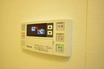 アムールＲＥＶＥ その他5