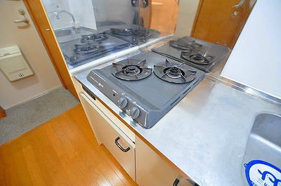 アムールＲＥＶＥ その他12