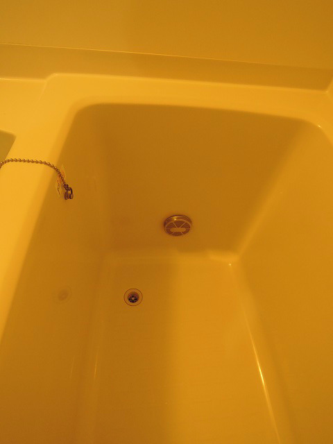 The Orchid Manor その他23