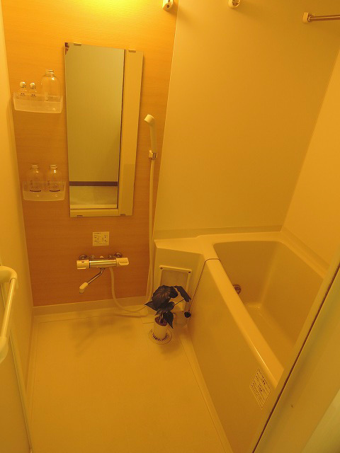 The Orchid Manor 風呂画像