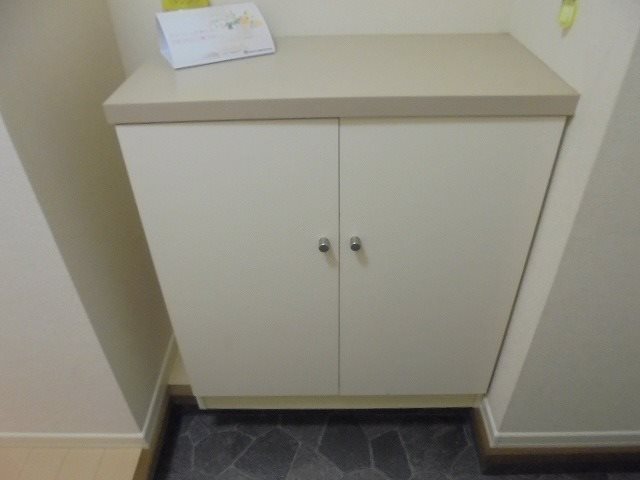 ラプラス稲田Ｓ 玄関