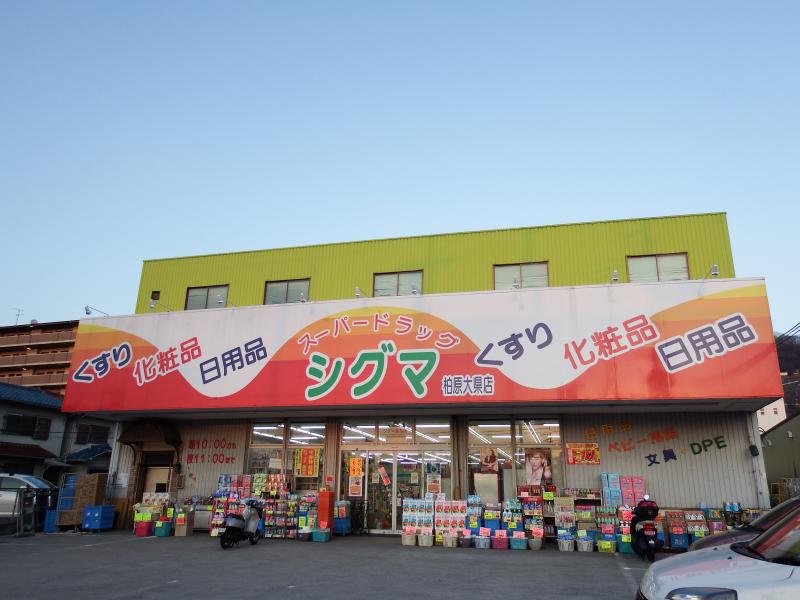 第3コーポ平野 ドラッグストア
