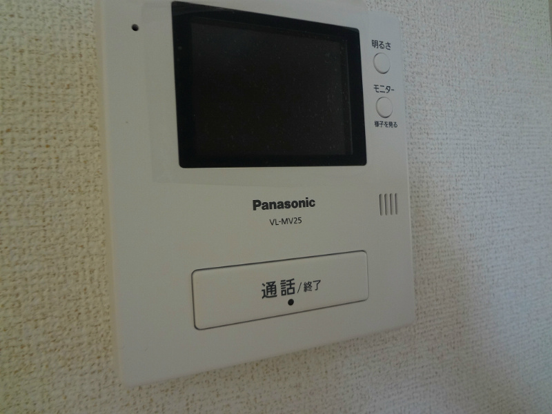 エルザⅠ セキュリティ